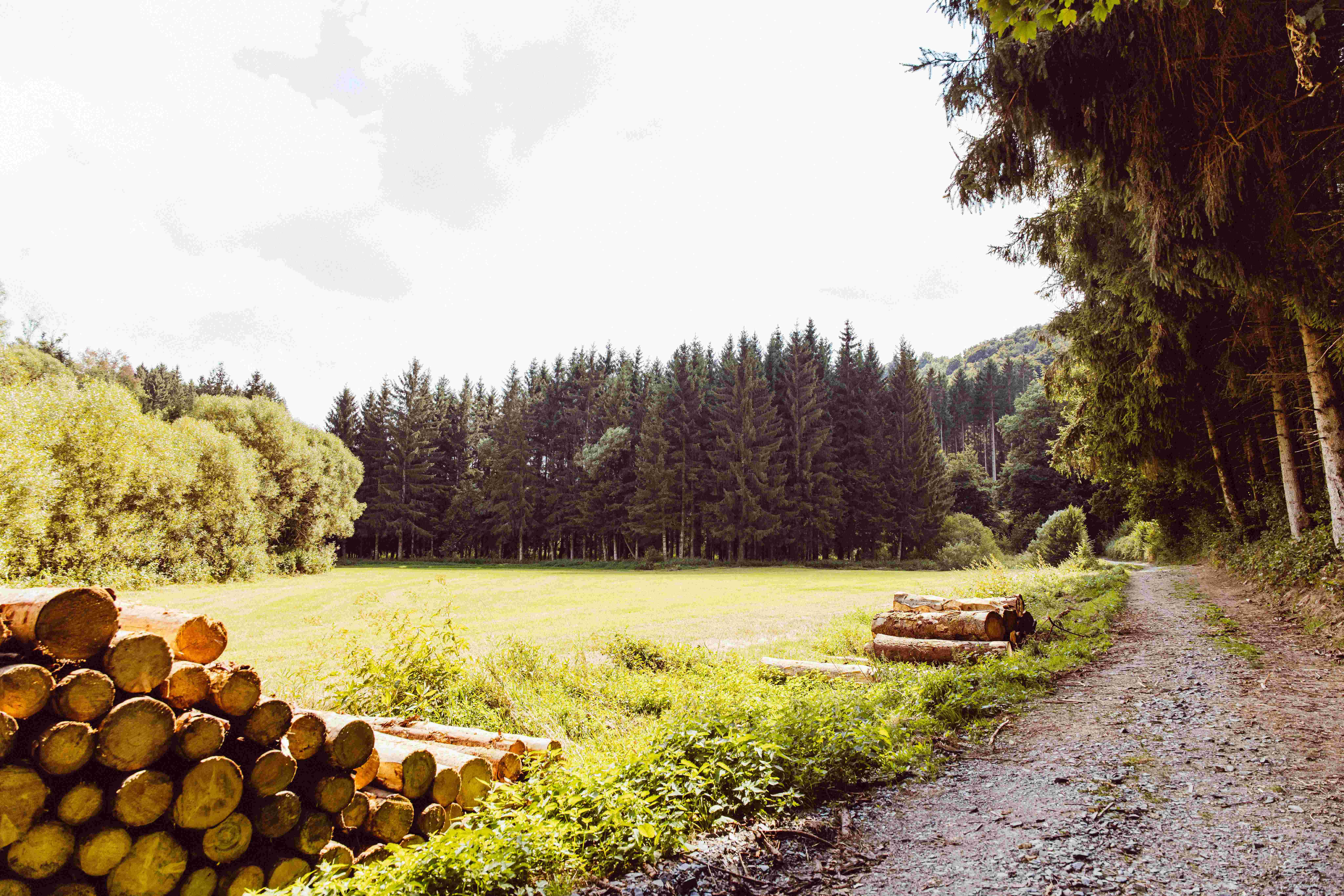 20 camping woltzdal.jpg