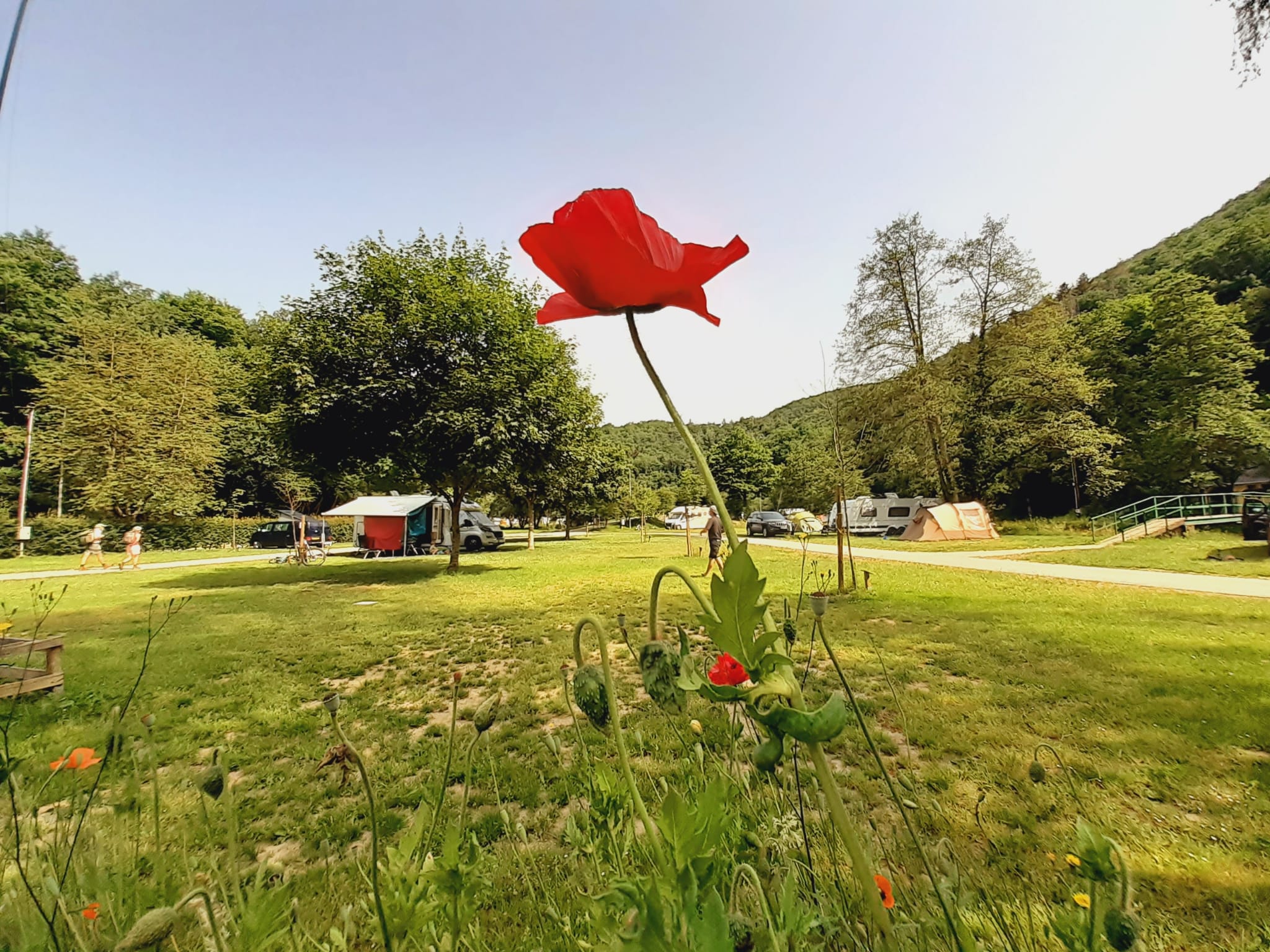 camping-kautenbach-31.jpeg