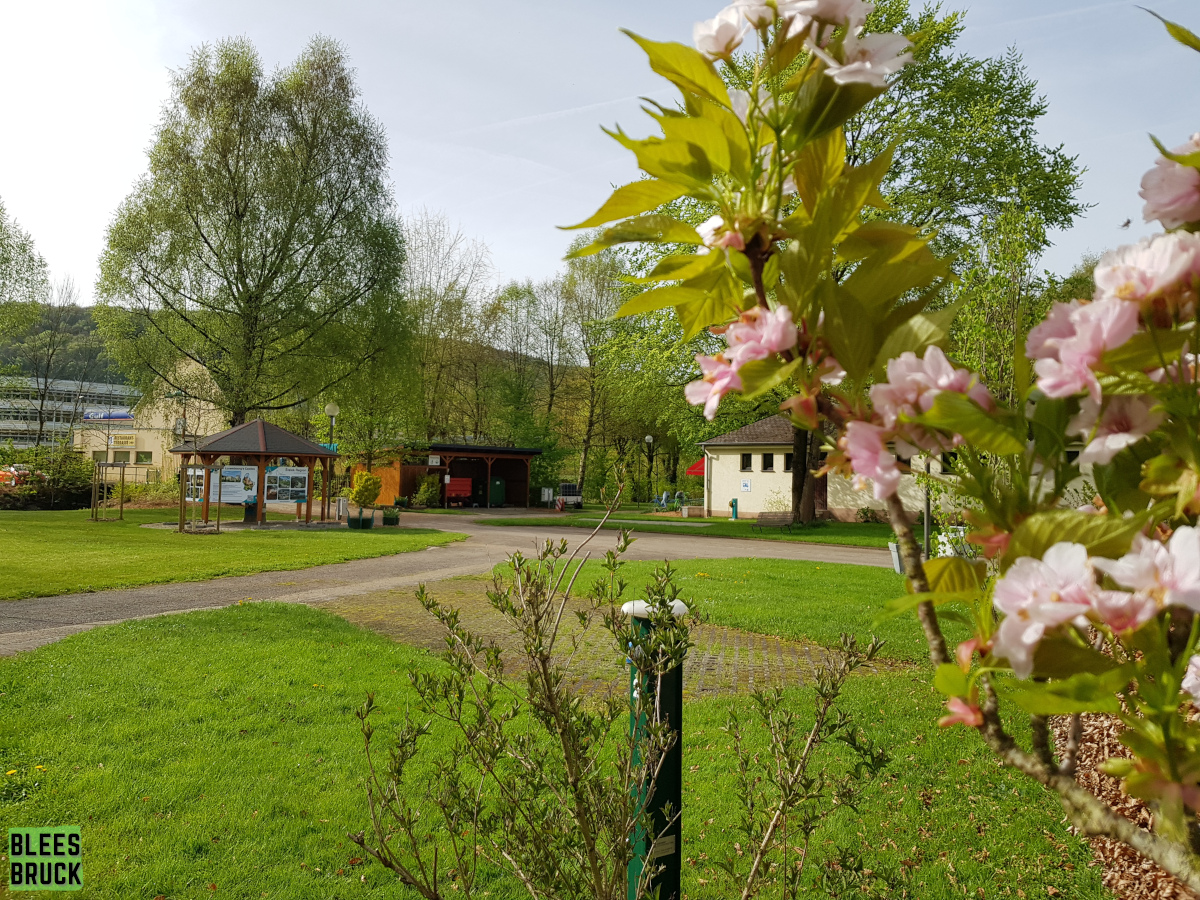 Camping Bleesbruck Wohnmobilplätze