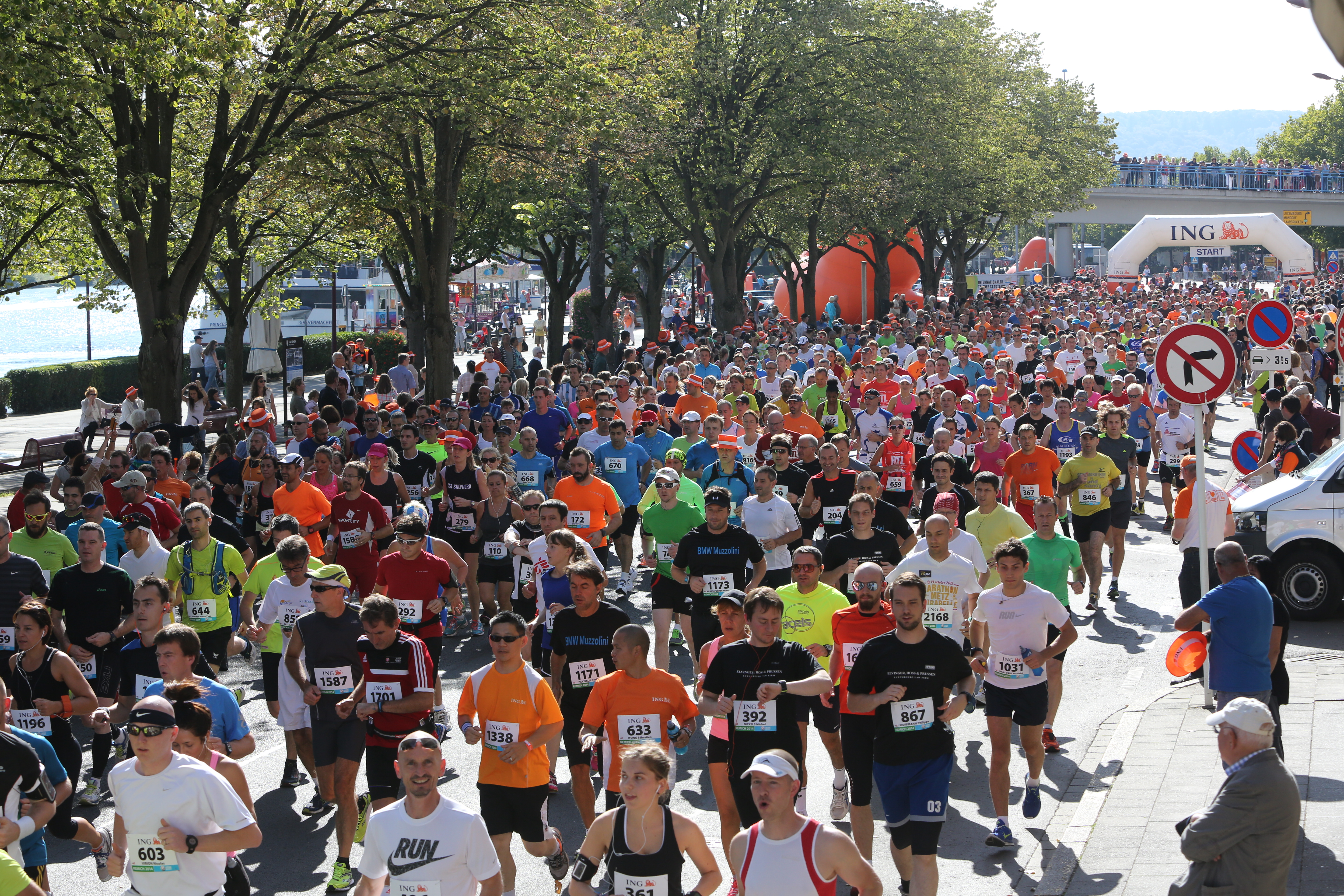Route du Vin Halbmarathon